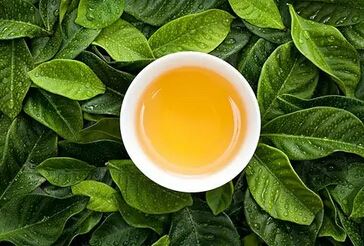 Six Types of Tea That Can Harm Your Stomach; Drink Less If You Have Stomach Issues-2-ChinaTeaGuru: Exploring Chinese Tea Culture and Kung Fu Tea - Tea Art, Tea Ceremony, Tea Knowledge Six Types of Tea That Can Harm Your Stomach; Drink Less If You Have Stomach Issues-2