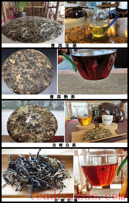 How to Select and Store Daily Tea?-2