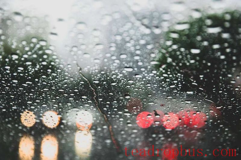 Prolonged Rainfall, Be Cautious with Your Liubao Tea Storage!-1