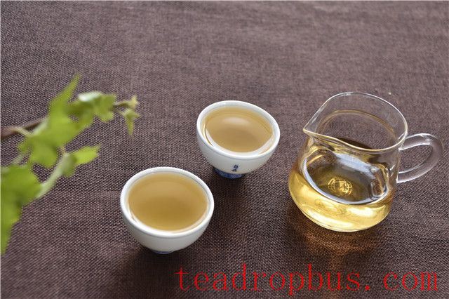 What are the functions of tea polyphenols?-1