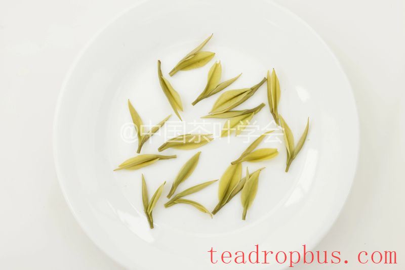 Weekly Tea Knowledge: I Know the Fresh Taste! Let's Talk About the Whitening and Yellowing of Tea Leaves ①-10