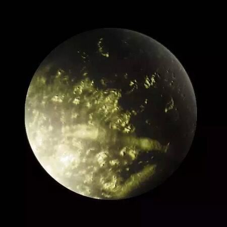 Tea Leaves Under a Microscope, So Beautiful!-12