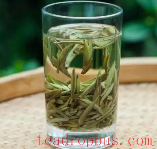 How Many Bud Tips Are in One Pound of Baihao Yinzhen?-3