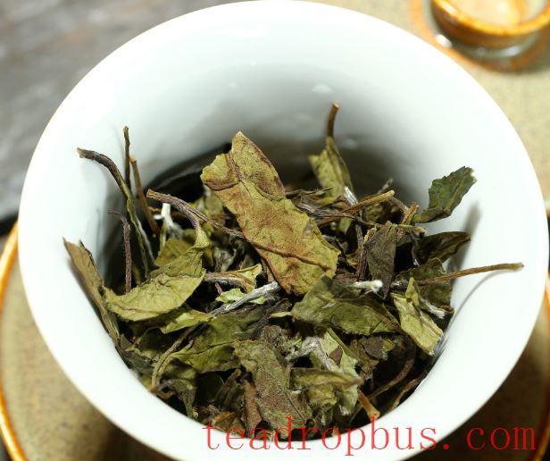 Which is Better in White Tea: Loose Leaf or Cake?-3
