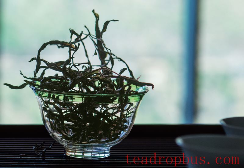 Advantages and Disadvantages of Various Storage Methods for Pu'er Tea-2
