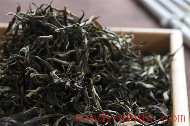 How Beginners Should Choose Pu'er Tea-2