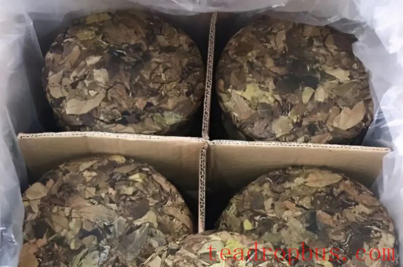 The Correct Storage Method for White Tea, Precautions for Storing White Tea-3