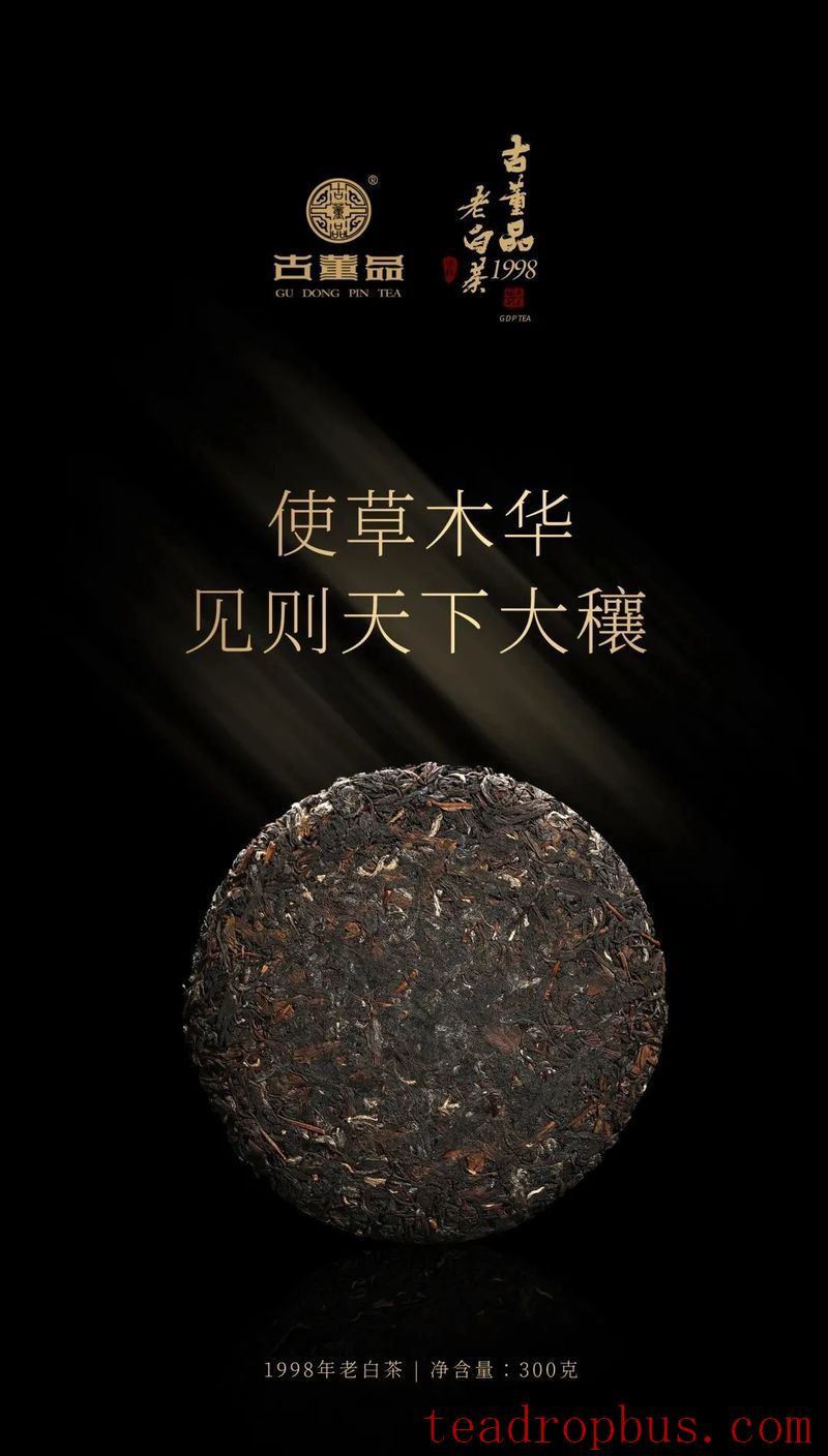 How is aged white tea faked?-1