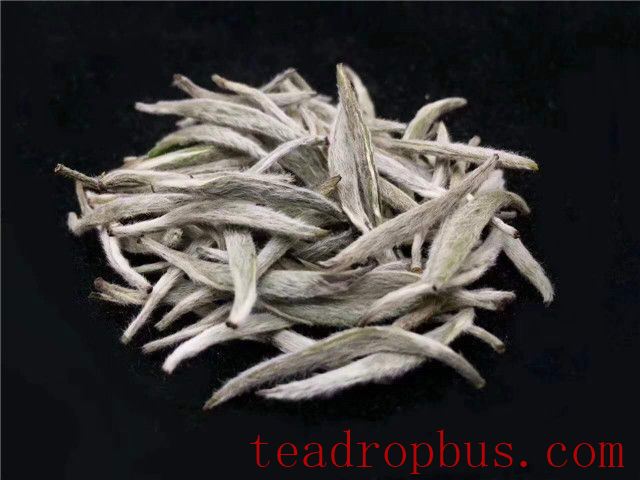 The Greatest Benefits of White Tea: Anti-inflammatory, Heat-clearing, and Detoxifying!-2
