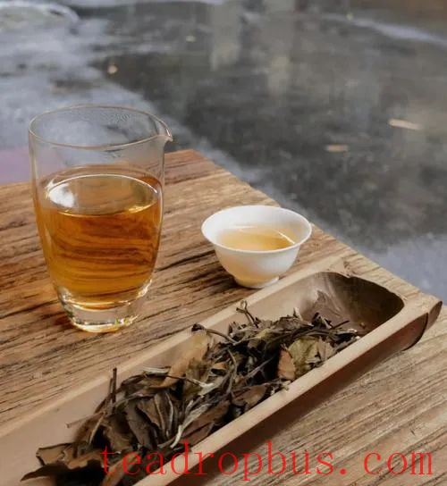 The Secrets of Shoumei: The Delicate Relationship Between Stems and Quality-1