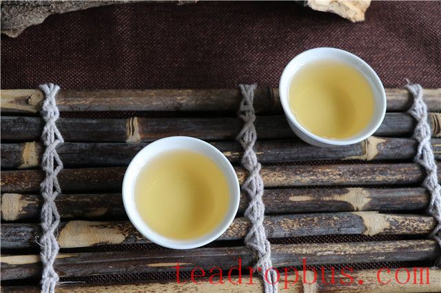 Which is Better for Your Health: Sheng Pu'er or Shou Pu'er?-3