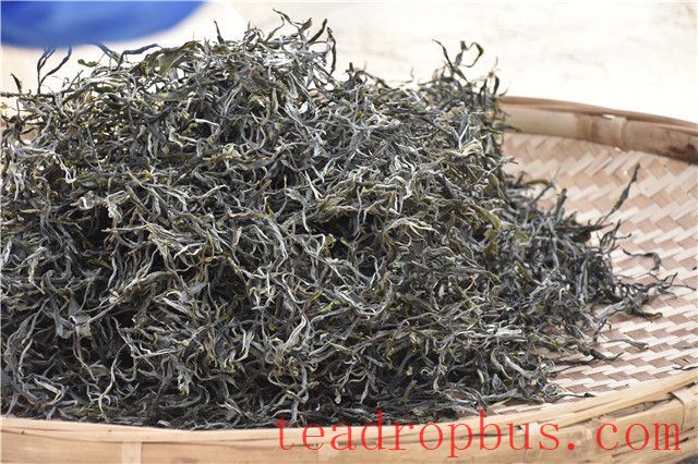 Puer Spring Tea: Is Loose Tea or Compressed Tea Better?-1