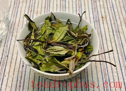 The Secrets of Shoumei: The Delicate Relationship Between Stems and Quality-3