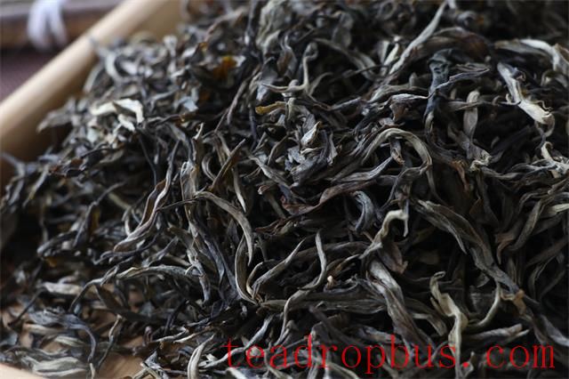 Puer Raw Tea vs. Puer Ripe Tea: Which Is Better?-3