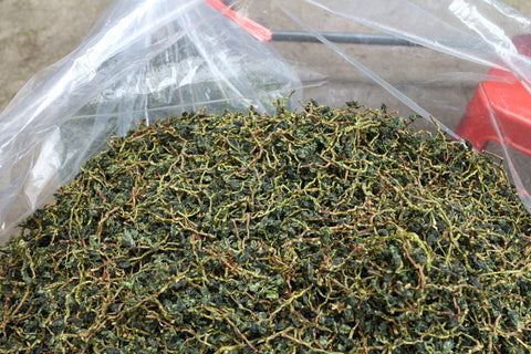 Tieguanyin Mao Cha