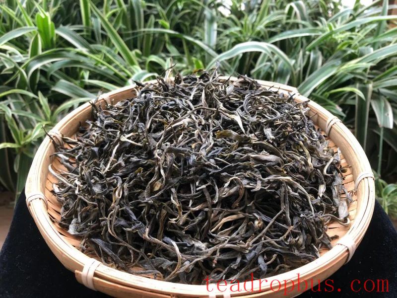 Lao Xu on Tea: New Pu'er Teas are Hitting the Market! How to Select a High-Quality Pu'er? Look at These Six Factors!-3