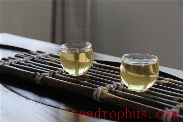 Pasha Spring Tea Price for 2024 How Much?-1