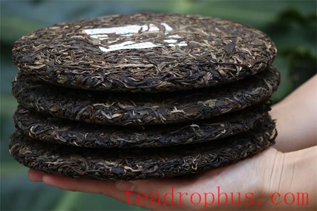 Does Pu'er Raw Tea Have an Expiration Date? How Long Can Pu'er Raw Tea Be Stored?-2