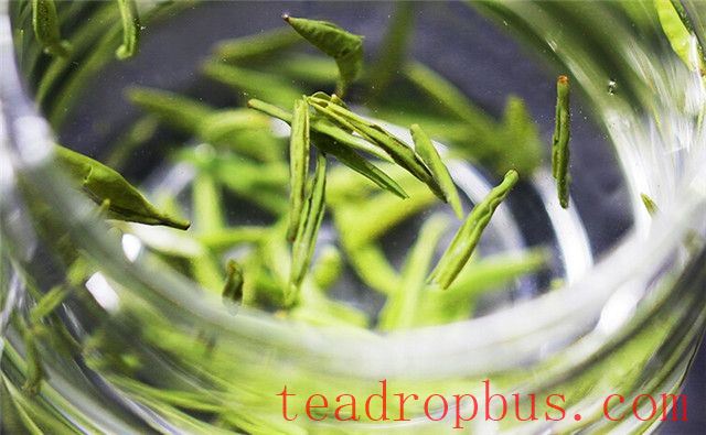 What are the benefits of drinking green tea regularly, and does it affect sleep?-3