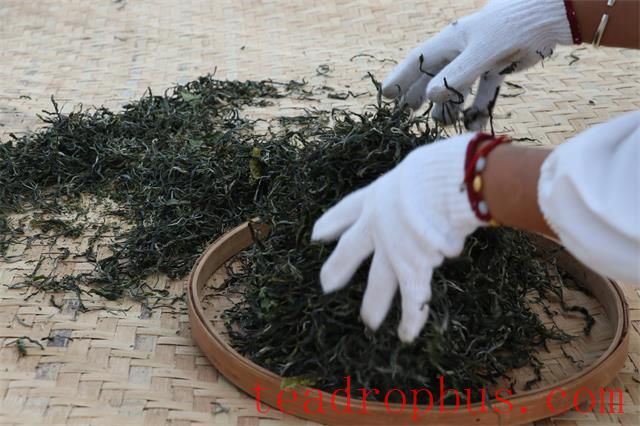 What Kind of Pu'er Tea is Good? How to Select Pu'er Tea?-3