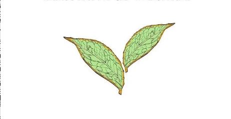 How Can You Buy Tea Without Understanding It? A Beginner's Guide to Identifying Tea-23
