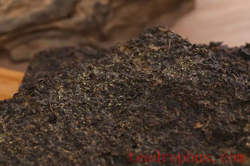 Intangible Cultural Heritage: Anhua Dark Tea Fu Brick Tea Production Techniques-3
