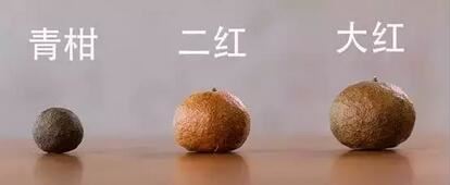 Headache! Can You Tell the Difference Between Chenpi Pu'er, Jupu, Ganpu, and Xiaoqinggan?-7