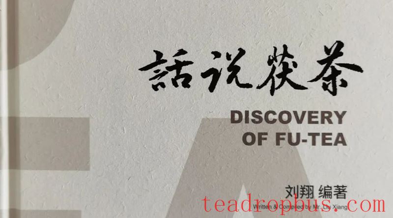 Fu Tea Health Benefits Explained (Part Seven): Those with High Coldness and Dampness in the Body Should Drink More Fu Tea-1