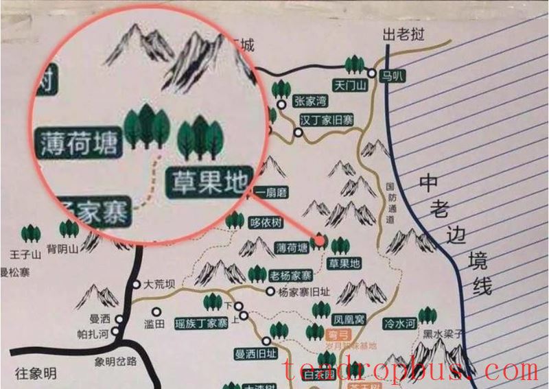 Lao Xu on Tea: Lao Xu Takes You Through the Series on Famous Mountains and Villages – Bohetang-1