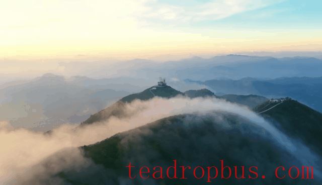 Guoxin Green Valley, One of the Top Ten Gold Medal Tea Estates in Anxi: The Romance and Poetry of Staying Amidst the Tea Garden-2