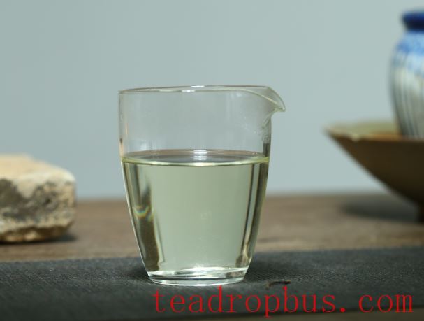 White Tea: Key Brewing Points You Need to Know!-1