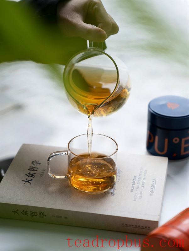 How to Drink Tea for Better Health in Spring? Drinking tea in spring is better than a good prescription.-22