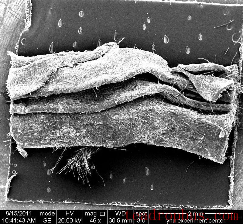 The Health Value of Microbial Fermented Tea-4