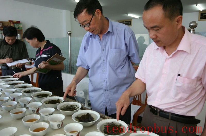 After 60 Years of Devotion to Tea, What Does Intangible Cultural Heritage Master Ye Qitong Consider as Legacy?-5