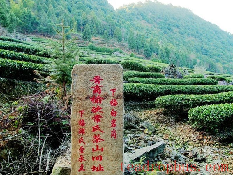 The Sacred Land of Tea: Mount Wuyi-10