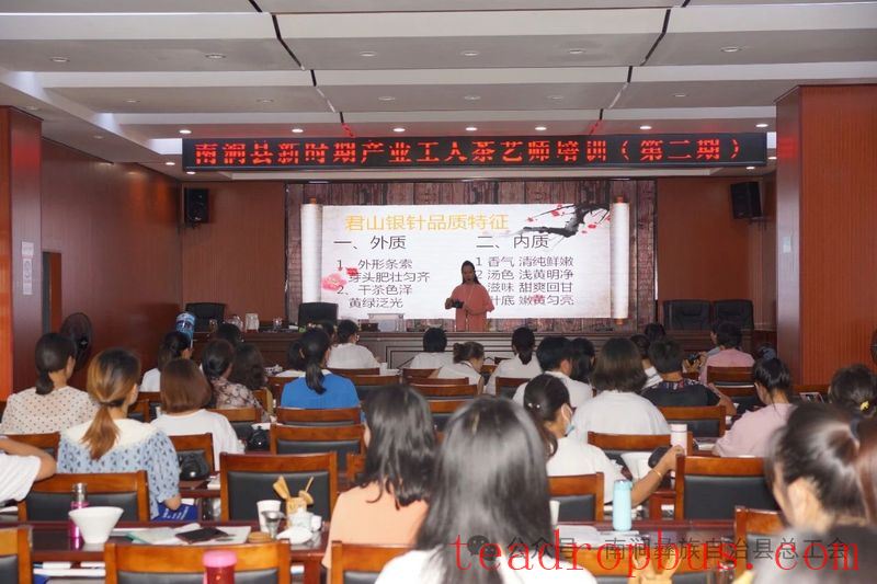 Nanjian County Implements Precision Talent-Gathering Plan to Support the Construction of a Tea Industry Workforce-9