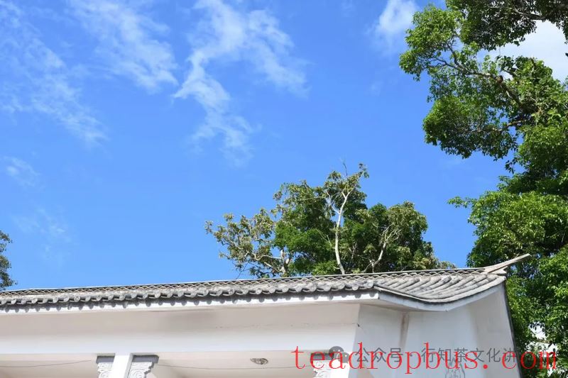 How Was the Administration of the Six Great Tea Mountains During the Qing Dynasty?-1
