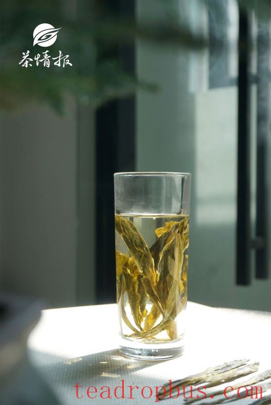 Drink Tea This Way to Lower Your Uric Acid Levels-3