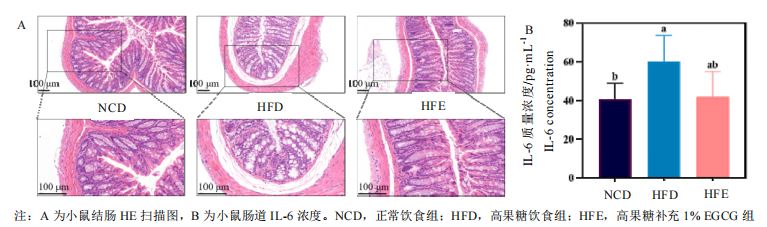 How does EGCG Prevent Metabolic Disorders Induced by a High-Fructose Diet?-3