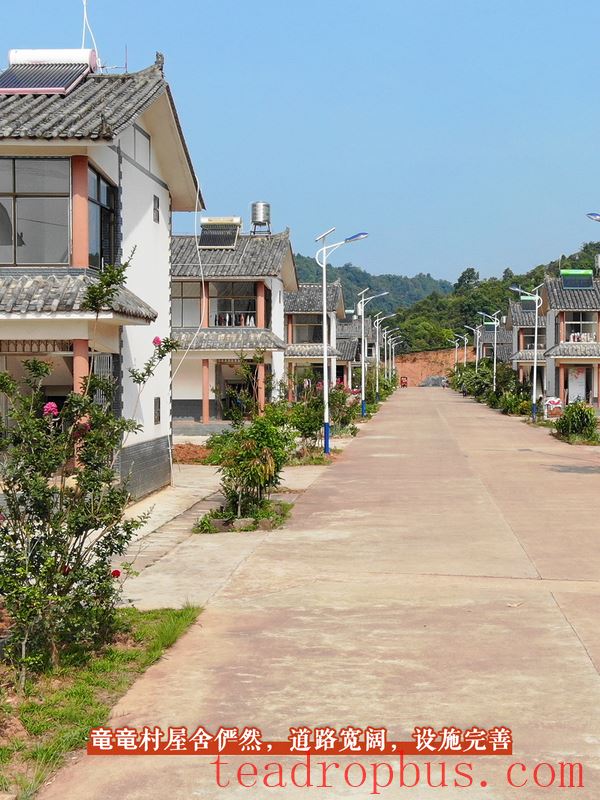 Tasting the Lingering Tea Aroma in Longlong Village, Yixiang Town, Simao District-7