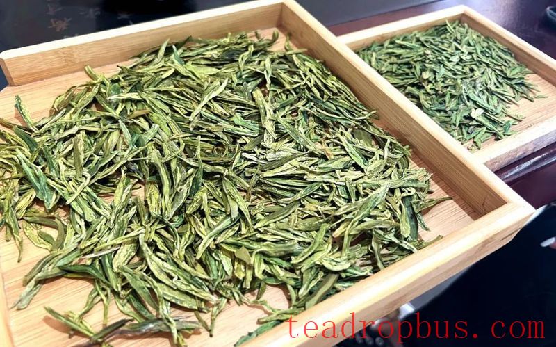 Maitan Heart-to-Heart Tea Specialized Cooperative: Busy with Winter and Autumn Tea Garden Management-2