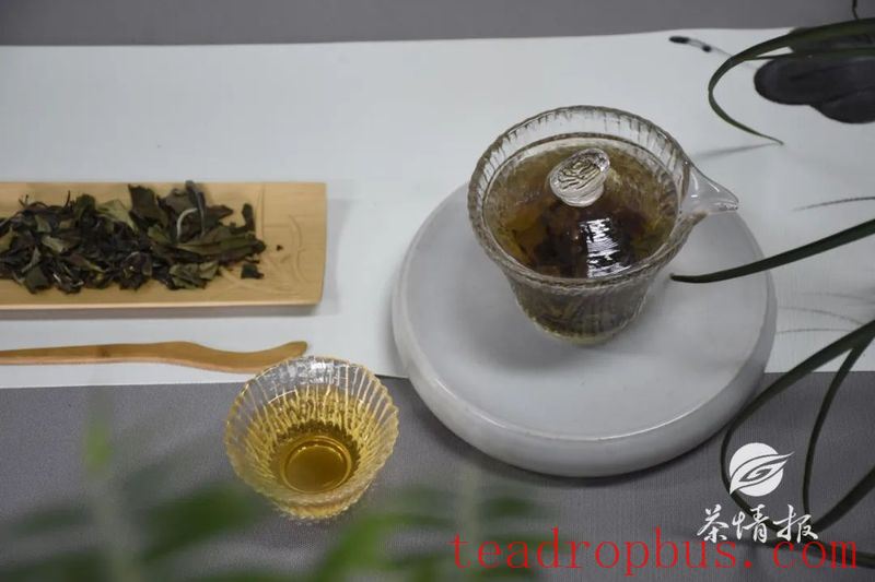 Chenpi + White Tea: The Perfect Health-Promoting Duo, Doubling Happiness-3