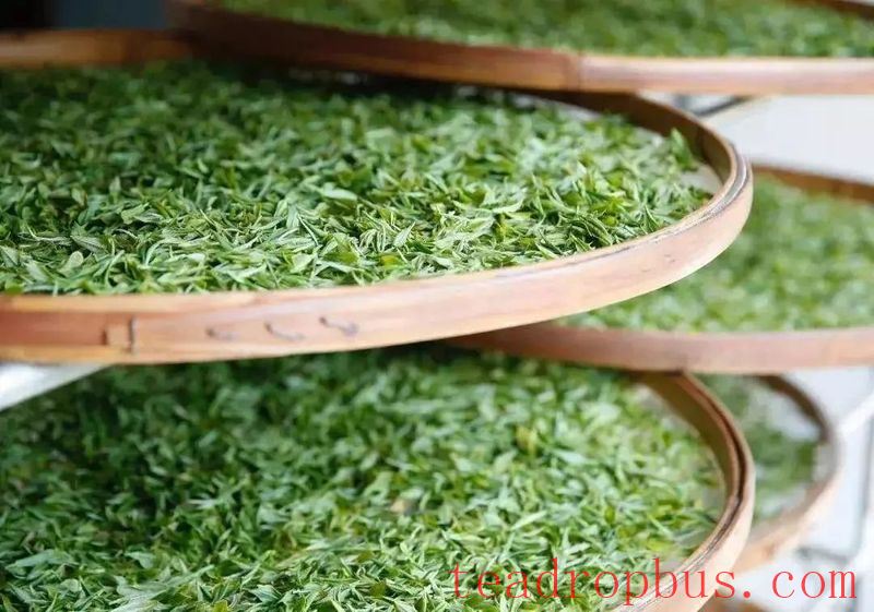 The Way of Drinking Tea in Summer: What Suits You Best Is the Best~-1