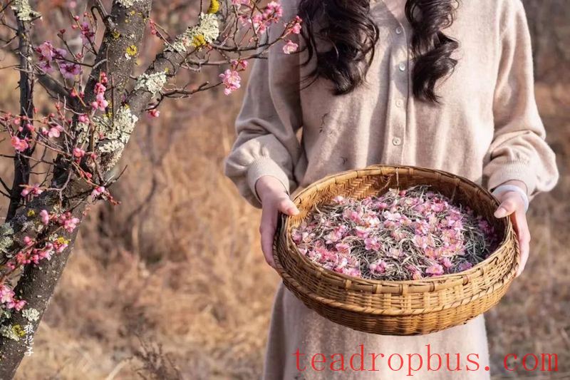 When the Qixi Festival Meets Tea, It Outshines All Else in the World-3