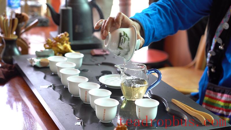 Mengla Tea · Tribute Tea Taste: Follow Influencers on a Tour of Ancient Tea Mountains, Savoring the Flavor of Mengla Tribute Tea-14