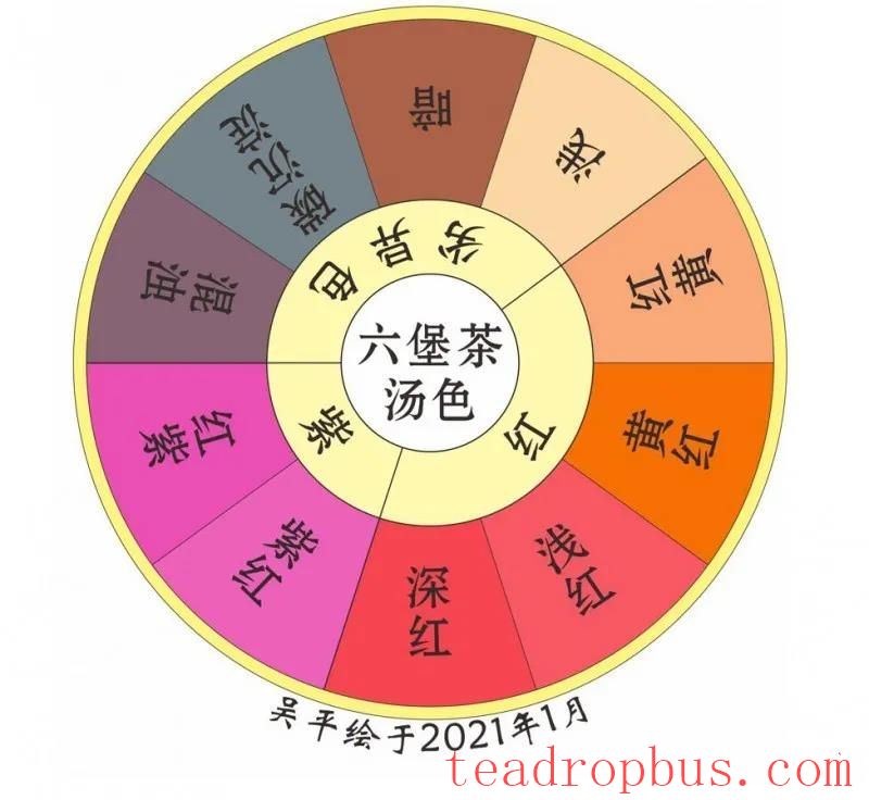 How is the Liubao Tea Flavor Wheel Created?-4