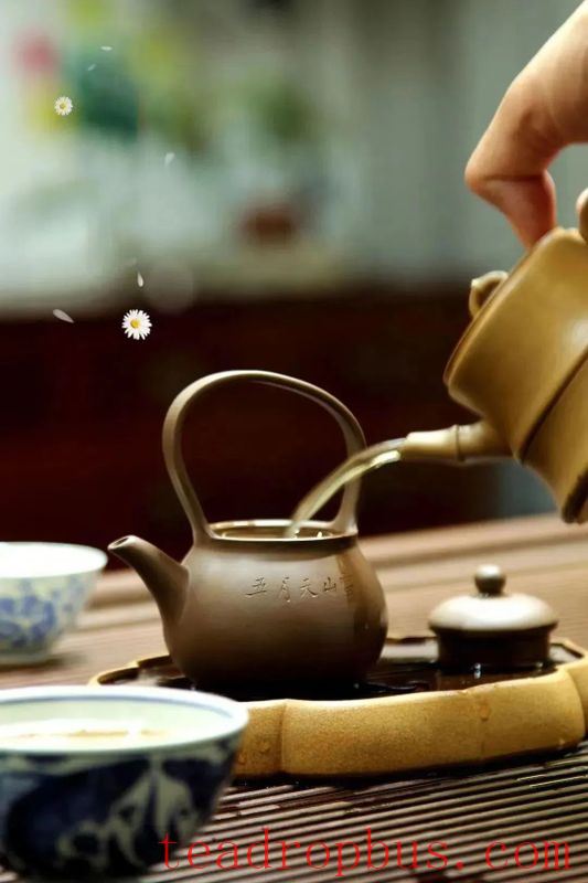 Does Your Purple Clay Teapot Dribble When Pouring Tea?-3