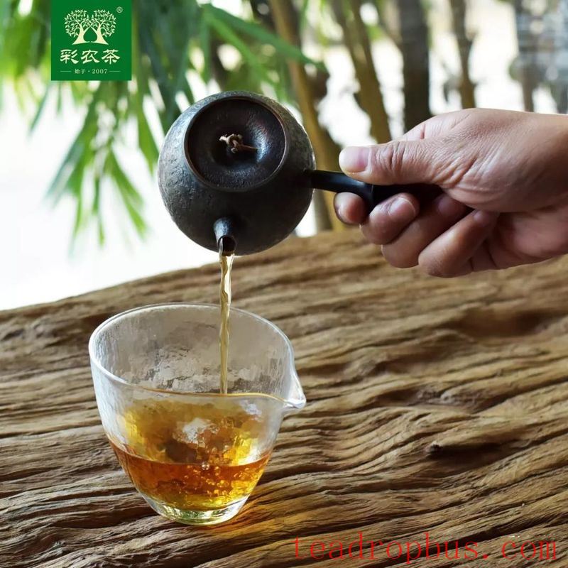 Cainong Tea: Tasting Pu'er - Drinking in Moderation-1