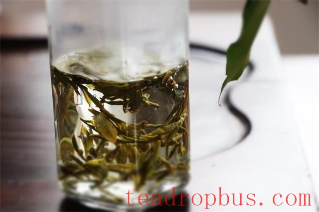 How to Brew Green Tea-3
