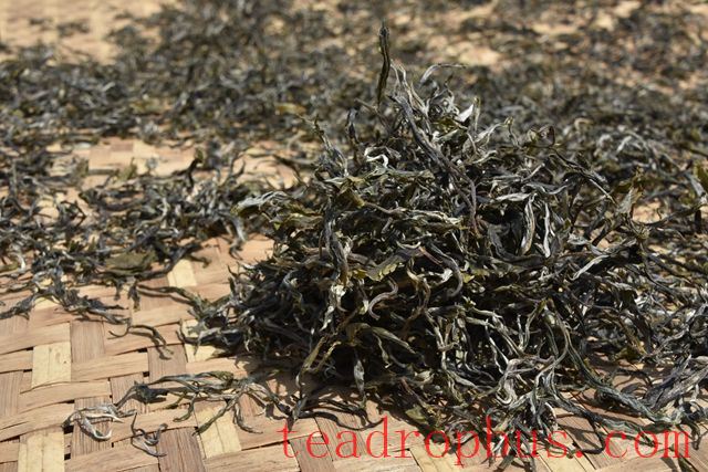 Puer Tea: Sun-dried, Oven-dried, and Pan-fried Processes and Differences-1